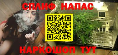 шишки Коммунар
