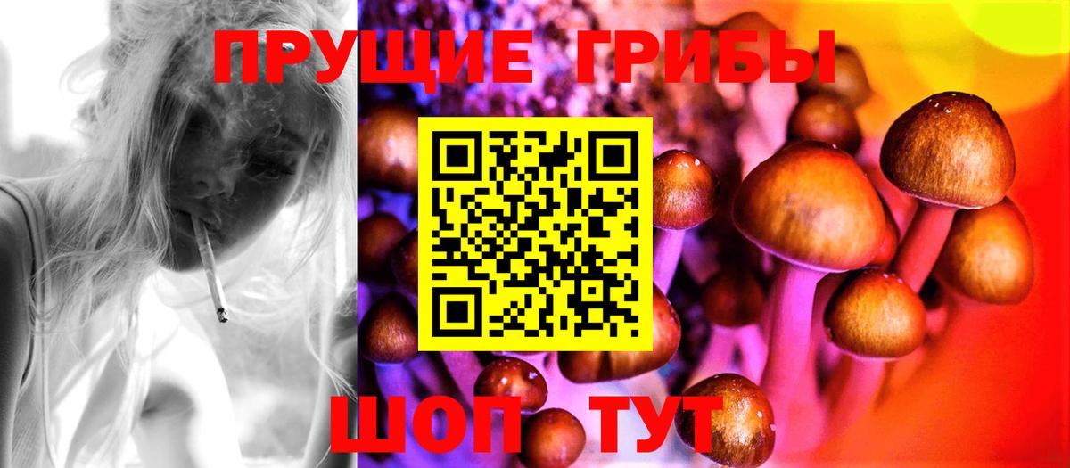 Галлюциногенные грибы ЛСД  Вход с VPN  Камень-на-Оби  Псилоцибиновые грибы ЛСД 