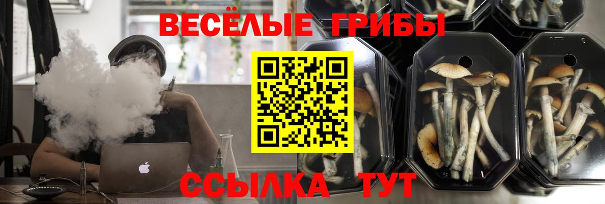 Псилоцибиновые грибы ЛСД Камень-на-Оби